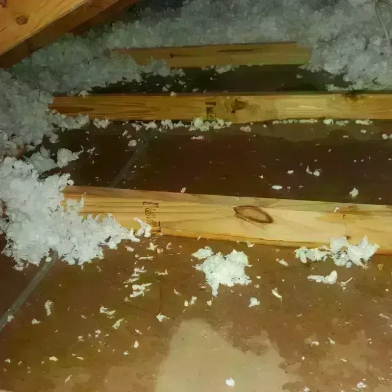 Attic Water Damage in Near South Side, IL