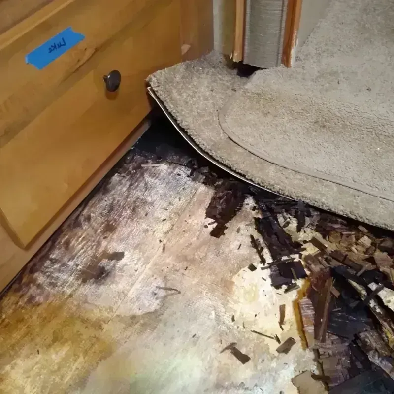 Wood Floor Water Damage in Near South Side, IL